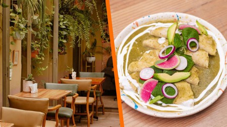 Date una vuelta por El jardín de Azu en Querétaro, un paraíso para amantes de las plantas con desayunos deliciosos