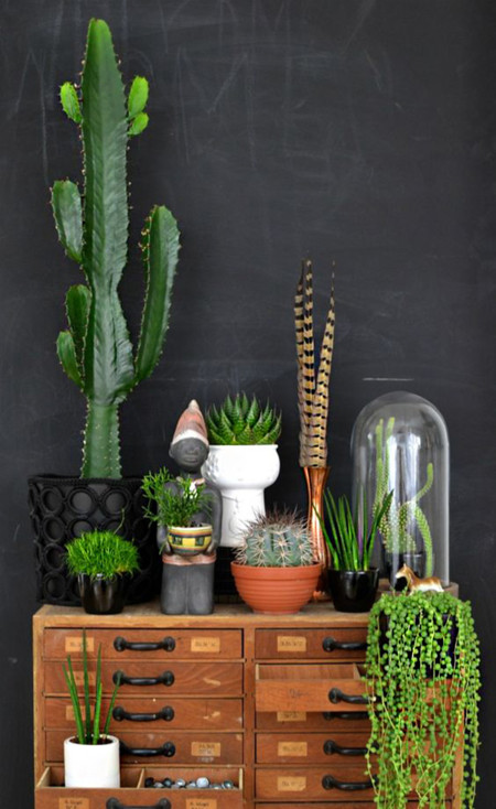 17 ideas para decorar tu sala de estar con plantas en esta primavera