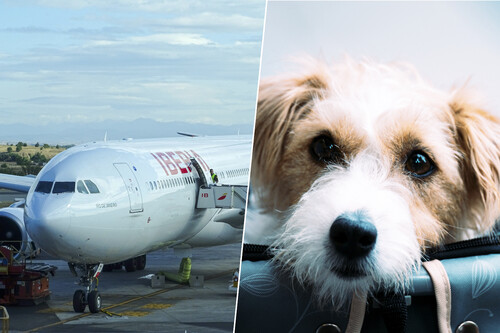 Imagem | TA-WEI LIN e Miguel Ángel Sanz