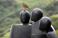 Invertir en pymes: no nos gustan los socios pero somos emprendedores