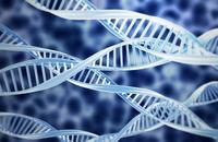 Buenas noticias: descubren el gen mutado que causa la muerte súbita 