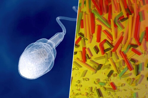 Microplásticos no sêmen / Imagem: FlyD