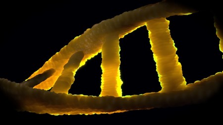 Hay dos formas de evolucionar genéticamente: la rápida y la lenta