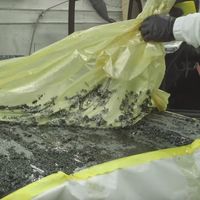 Restaurar la pintura de un Porsche 911 es un proceso como de otro planeta (y algo asqueroso)