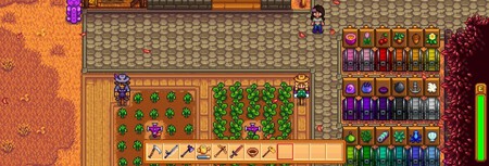 Cofres Stardew Valley