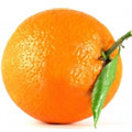 Cruzada Naranja, contra el fraude en Internet