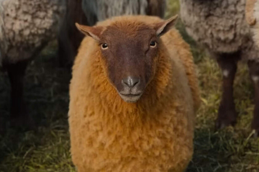 Estrenos (24 de junio): 55 series, películas y documentales en Netflix, Prime Video, Disney+, HBO Max, Filmin, Movistar Plus, Apple TV y SkyShowtime