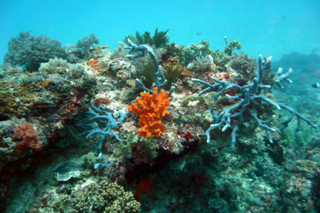 mascara limpia viaje buceo
