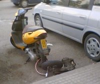 La foto de la semana