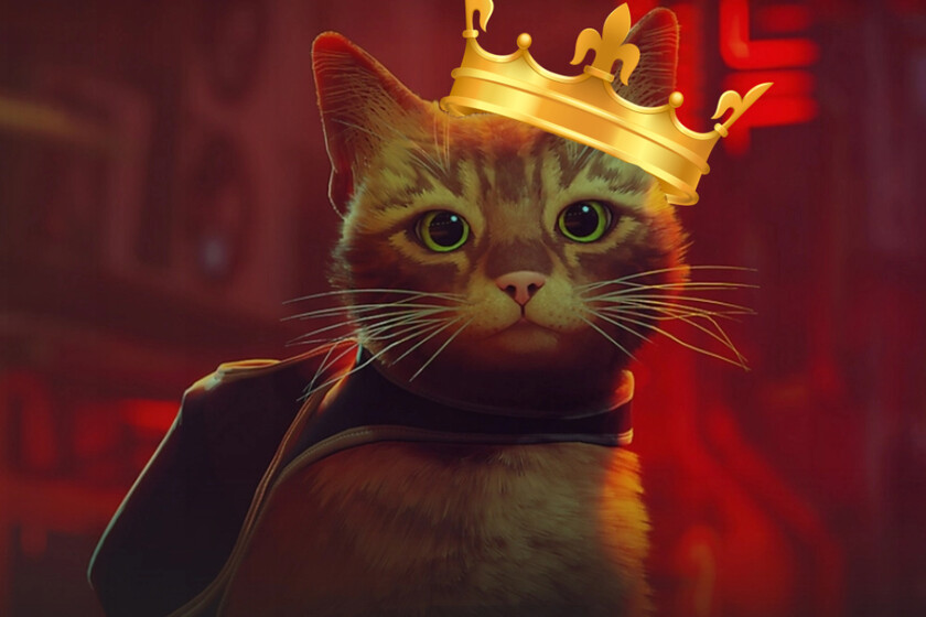 Stray został ukoronowany na Steam imponującą liczbą graczy w Annapurna Interactive Edition