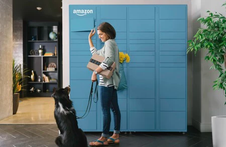 Recogiendo Paquete De Amazon