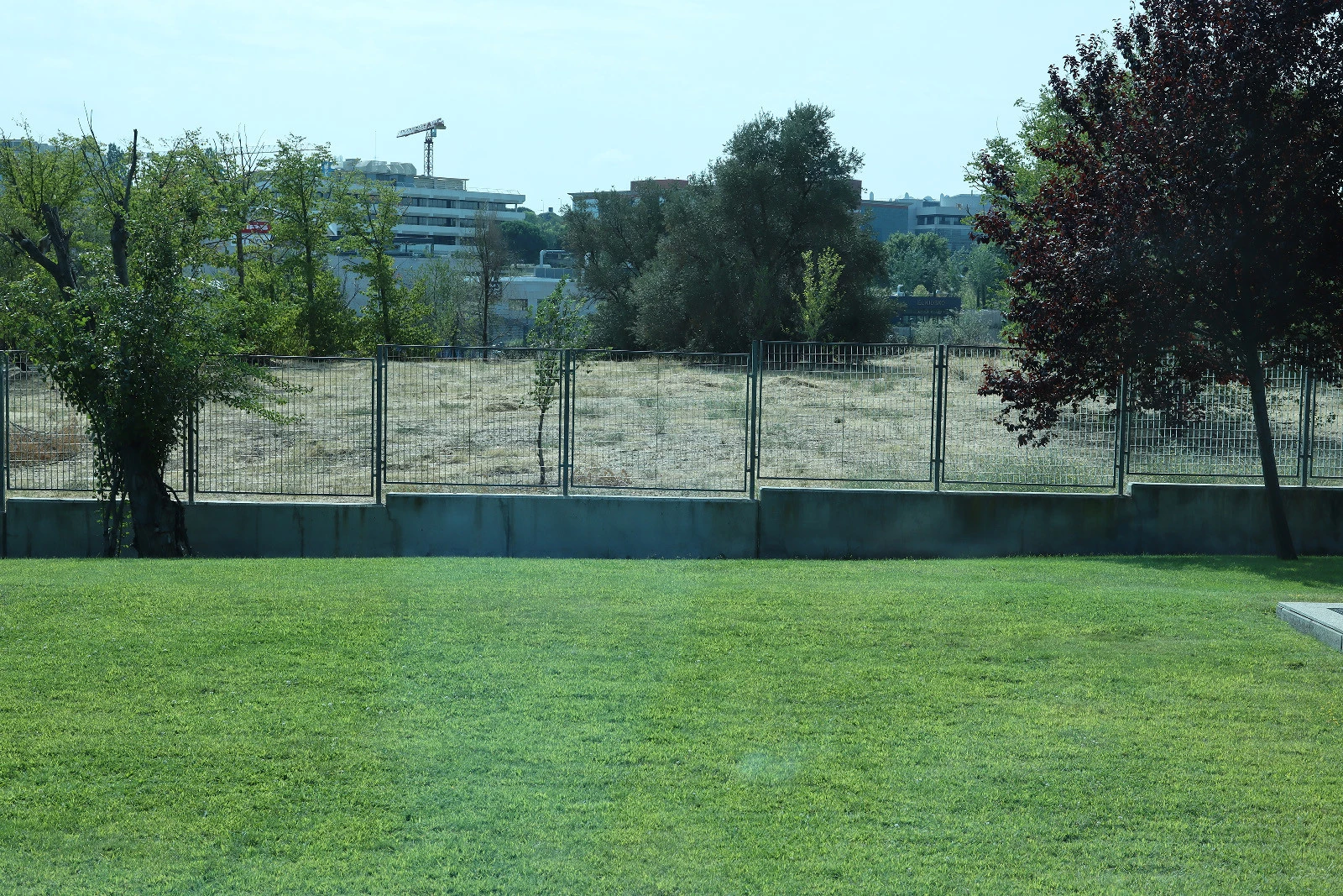 Galería muestras Canon EOS 90D y EOS M6 Mark II