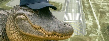 “La única salida es un vuelo sin retorno”: así es 'Alligator Alcatraz', el centro de detención de migrantes que inauguró Trump en medio de un pantano rodeado de caimanes  