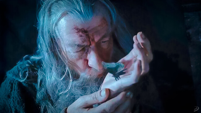 Senor De Los Anillos Gandalf Polilla