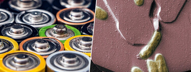 Mientras medio mundo busca más litio, unos investigadores de China lo han eliminado de la ecuación: baterías con bacterias