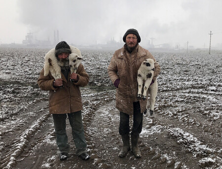Pastores de Transilvania y otras alucinantes fotos hechas con el móvil de Apple y premiadas en los iPhone Photography Awards 2021