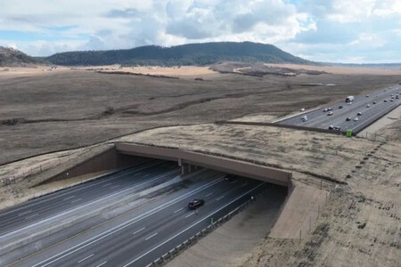Paso Elevado Colorado