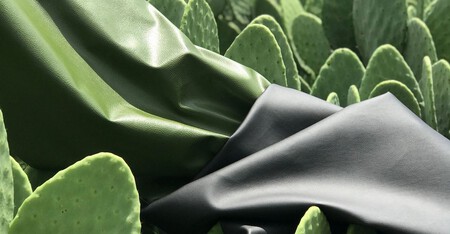 Dessertex Nopal En Interiores Mercedes Ben Eqxx 3