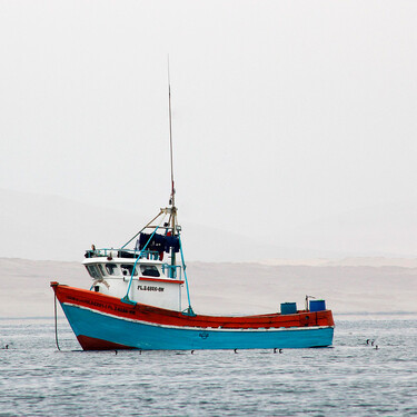 El sector pesquero desconvoca su paro general tras llegar a un acuerdo con el Gobierno para flexibilizar el control de las capturas