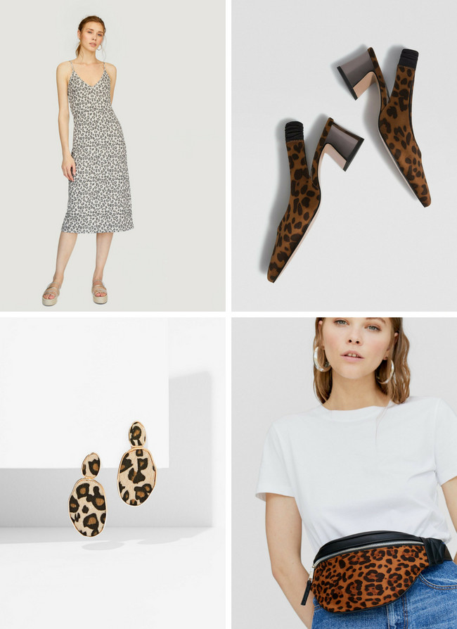 estampado leopardo lowcost