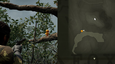 Ga Ko Sur Bolshaya Past