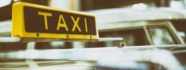 Cocodrilos, cotorras y corales, los taxis que adornaban la Ciudad de México 
