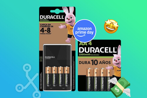 Pilas Duracell Aa