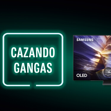 Cazando Gangas