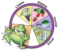 Soluciones para no contraer toxoplasmosis durante el embarazo
