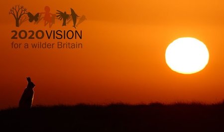 2020: Una visión salvaje de la Naturaleza
