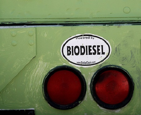 Biocatalizadores para una producción más eficiente de Biodiésel