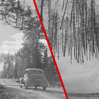 No es IA, es una foto real de 1940 donde los árboles flotan sobre la carretera. Hay una explicación