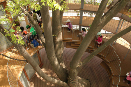 Kindergarten Around Tree Zelkova Fuji Tezuka Architects 27 1