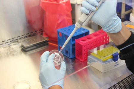 Esta es la terapia experimental que podría acabar con la metástasis