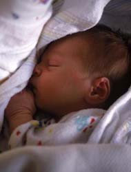 Los bebés pequeños son más propensos a la soltería