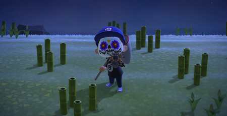 Guía Animal Crossing New Horizons: cómo crear una isla de tarántulas y venderlas por 8.000 bayas cada una