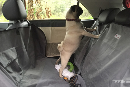 Paco