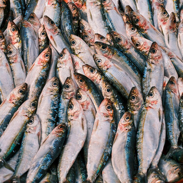 Que el Mediterráneo esté más caliente no solo se nota en la playa, también en el mercado: "La sardina ha subido de precio un 25% 