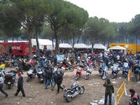 Cuenta atrás para pingüinos