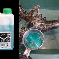 El invento revolucionario japonés que literalmente va a cambiar la historia de las motos clásicas: quita el óxido con líquido, y es mágico 