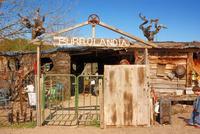 Un día en Burrolandia