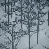 Hoy gratis en Canal 5: el mejor anime de los últimos tiempos en español latino 