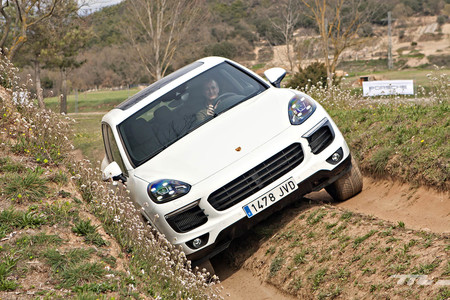 Dma Cayenne Bassella