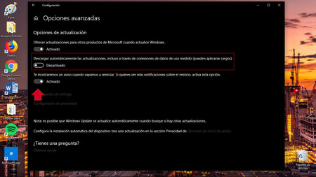 Programar 5
