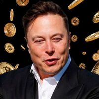 Bitcoin iba a ser la moneda que el sistema no podría controlar, pero cada vez que Elon Musk tuitea sobre él hay revolución en la cotización