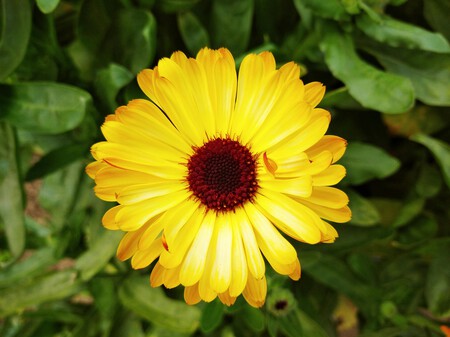 Pexels Md Abdur Rahman 1270929895 23952732