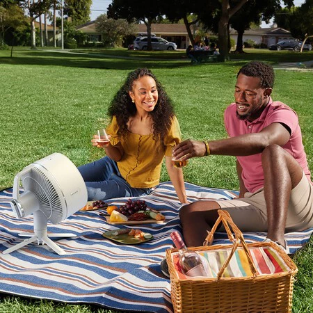 Ventilador portátil de pie o de sobremesa Shark FlexBreeze (para interior y exterior) con accesorio para nebulizar FA220EU