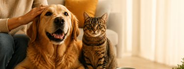 A nova economia familiar: o custo de tratar cães e gatos como filhos já consome 8% do orçamento dos brasileiros 
