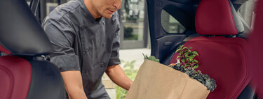 La DGT alerta sobre el efecto elefante: dejar la bolsa de la compra en el asiento trasero te puede salir caro, no solo por la multa, sino porque puede destrozarte en un accidente