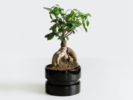 Copia De Plantilla 1200x900 60